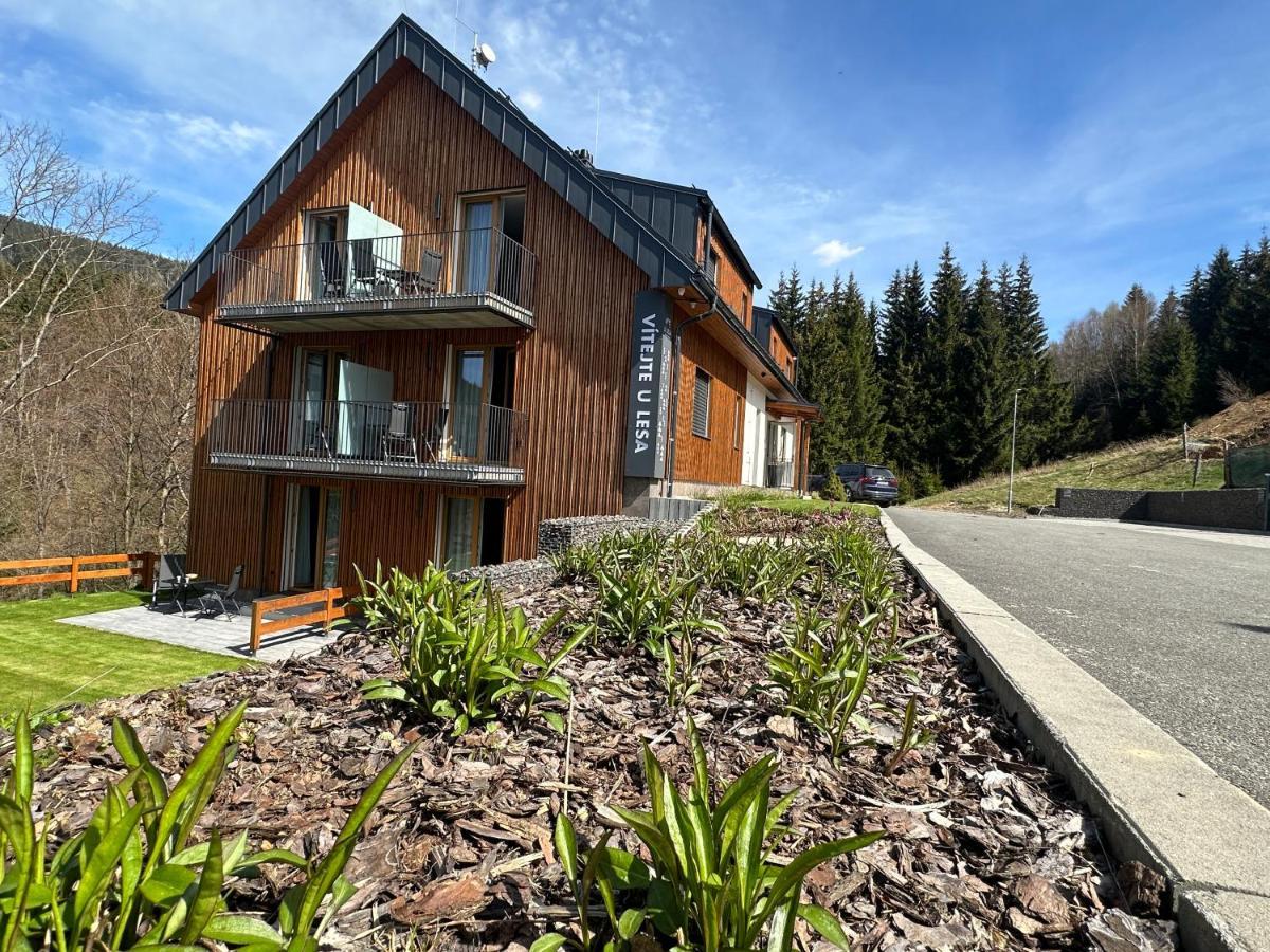 Apartmany U Lesa Dolní Morava Buitenkant foto