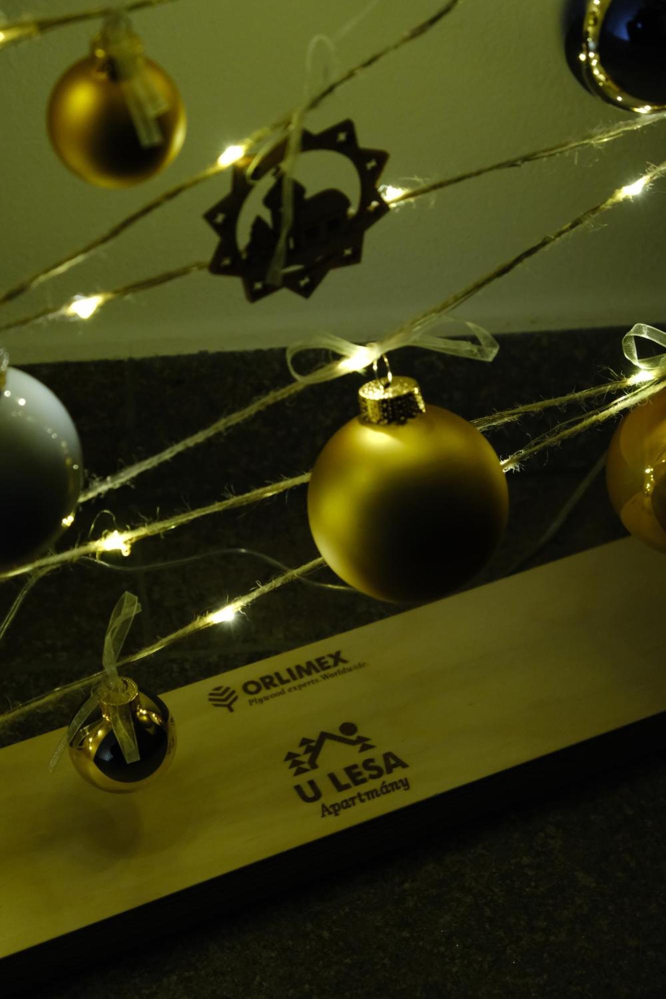 Apartmany U Lesa Dolní Morava Kamer foto